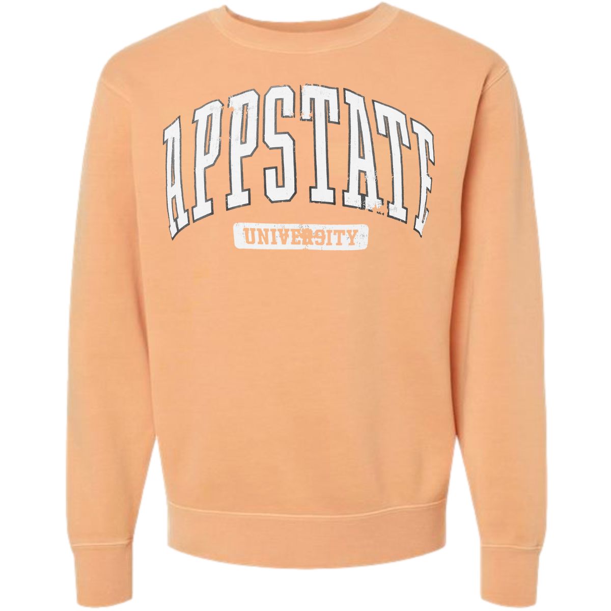 App sale state sweatshirts